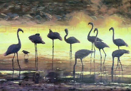 Flamingos, Oil Unframed, H42cm x W59cm, £150