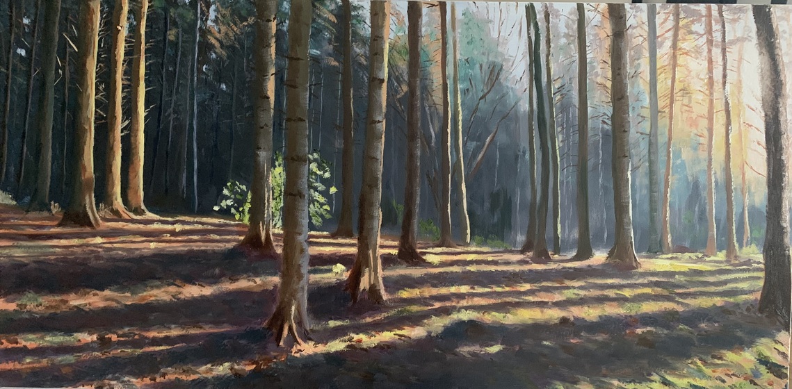 Sunlight Through Trees, Oil Framed, W90cm x H50cm, £395
