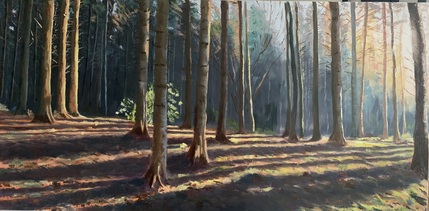 Sunlight Through Trees, Oil Framed, W90cm x H50cm, £395